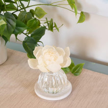 Load image into Gallery viewer, Cashmere Kiss Flower Diffuser