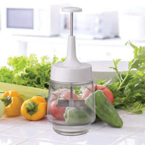 HIC Kitchen Plain Edge Old Fashioned Onion Manual Food Chopper