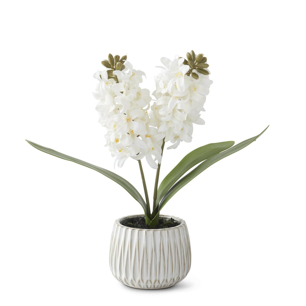 19494A-WH 16 Inch White Real Touch Hyacinth in White Ceramic Pot w/Faux Dirt
