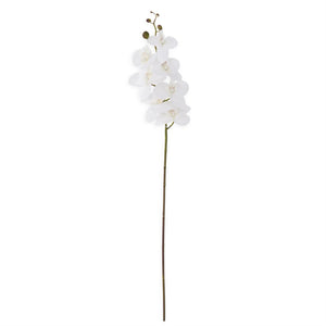 19467A-WH 34.5 Inch White Orchid Stem
