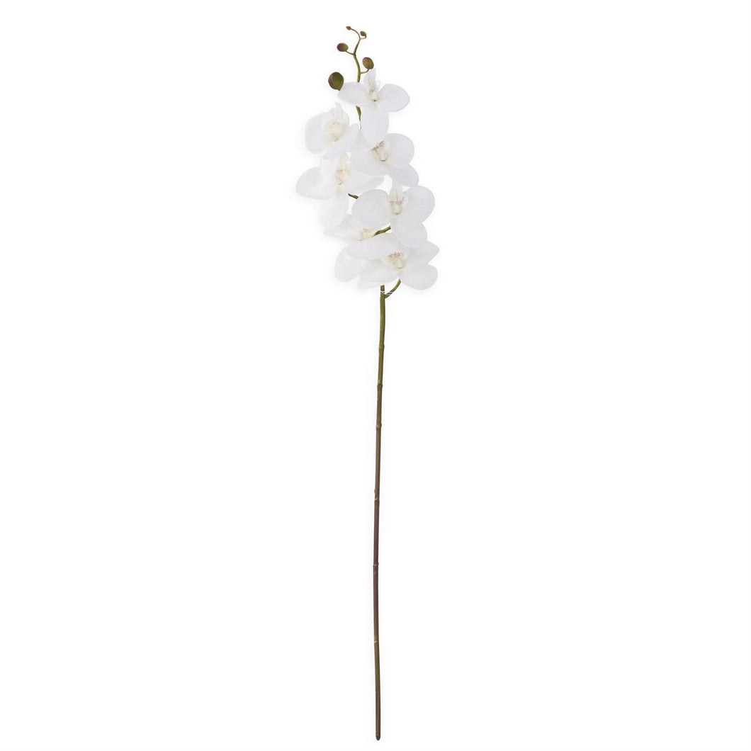 19467A-WH 34.5 Inch White Orchid Stem