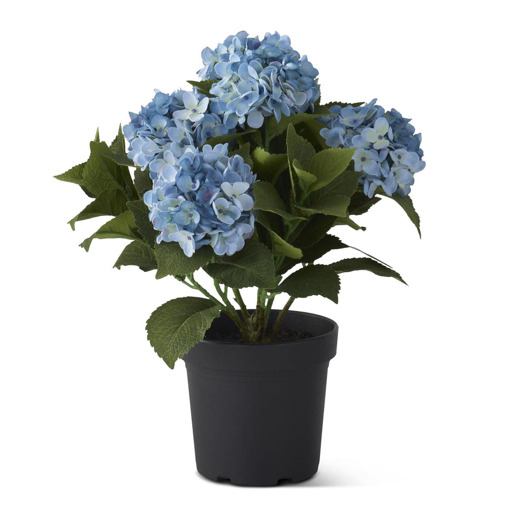 18.75 Inch 5 Bloom Blue Potted Hydrangea w/Faux Dirt