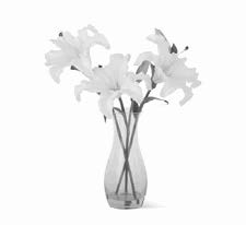 19444A-WH 18.5 Inch White Real Touch Lily w/3 Blooms & 2 Buds Glass Vase Premade w