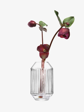 Load image into Gallery viewer, G1655-15-301 Rotunda Vase H6in
