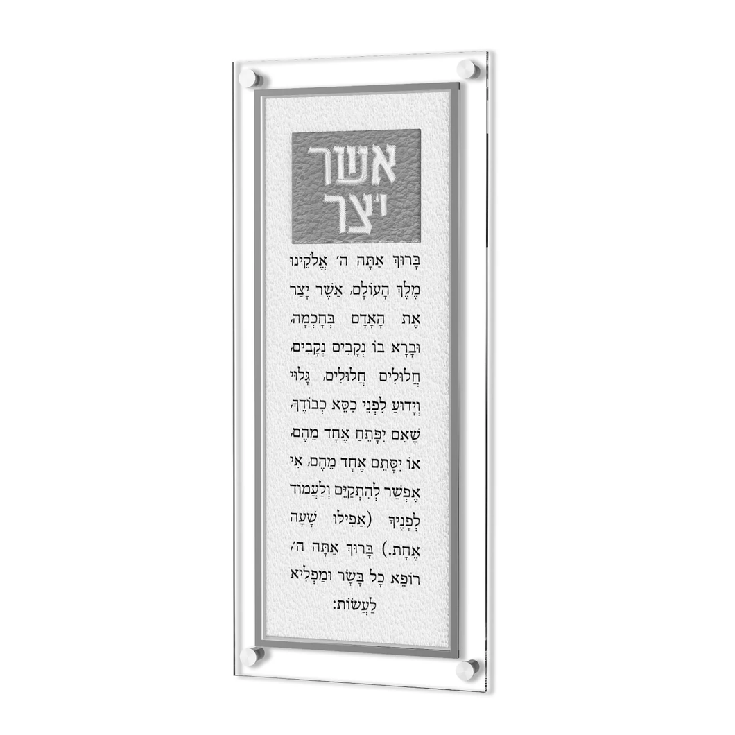 AYL02SUS Classic Leatherite Asher Yatzar v.2 - Silver