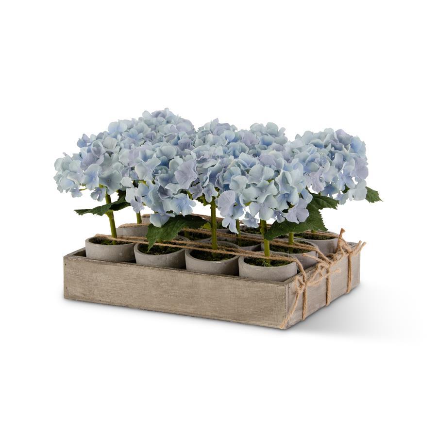 17325A-BL Potted Blue Hydrangeas