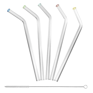 GLASS STRAWS-SET OF 5