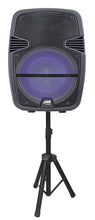 Load image into Gallery viewer, SOUNDPRO TWS 15&quot; W/DISCO LIGHTS W/STAND
