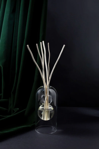 Clear Glass Diffuser with Willow Sticks 180ml Plastic Refill Bottle and a funnel