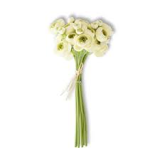 11 INCH CREAM MINI RANUNCULUS BUNDLE (7 STEMS)