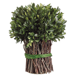 APS230-GR  10.2"PRESERVED BOXWOOD BUNDLE