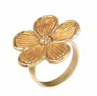 Daisy Gold NR Set Of 4