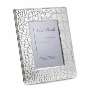 SF110-11 Silver 5x7