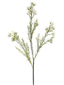 GSW121-WH 27"WAXFLOWER SPRAY X3 72F36B