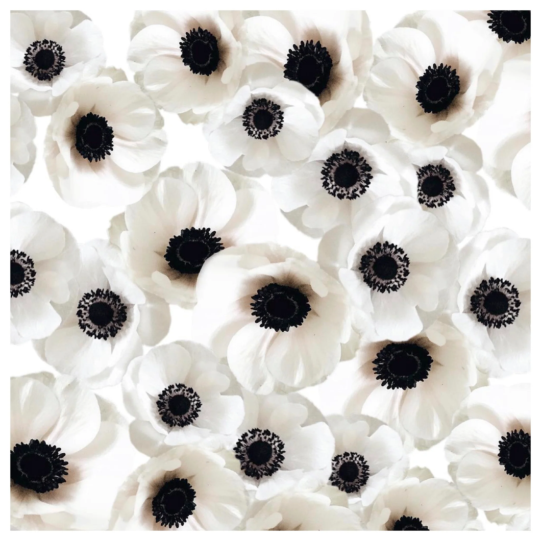 Wind Flower Place Mat