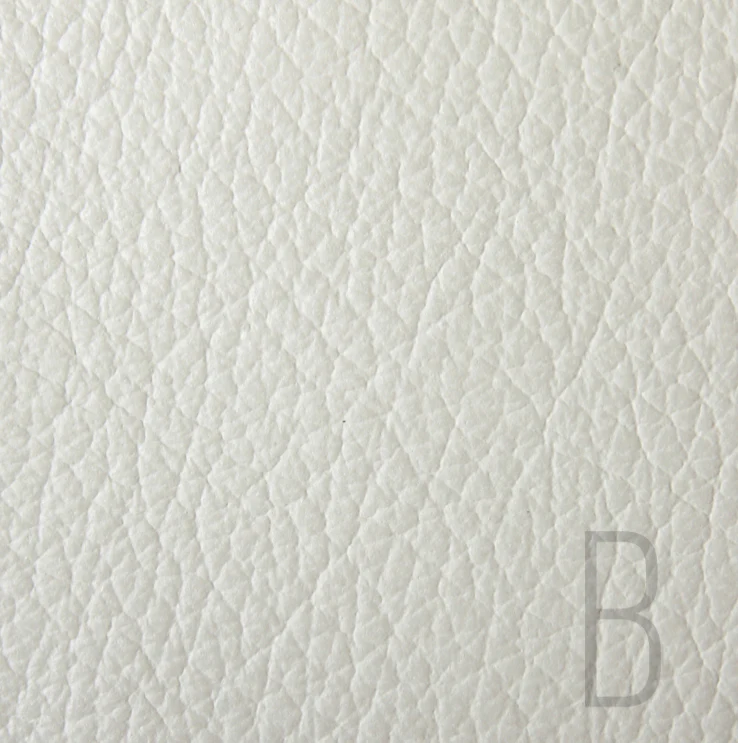 MONOGRAM LEATHER WHITE CHARGER - B