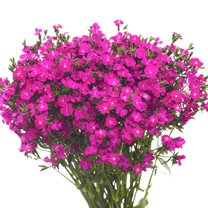 18 Inch Purple Dianthus Spray w/Eva Foliage